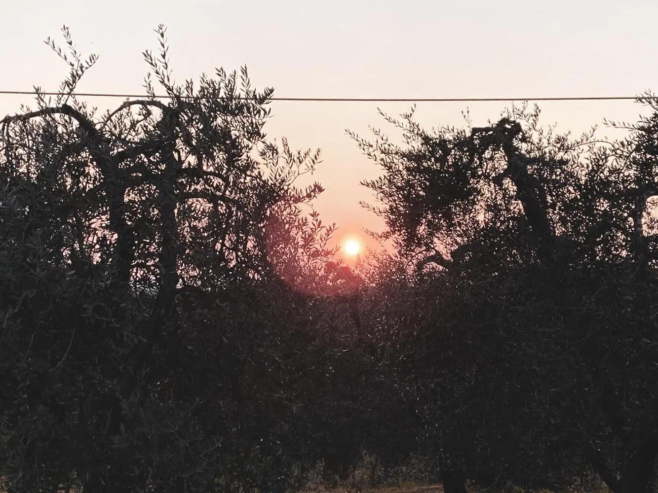 Podere San Giorgio 帕拉亚 意大利